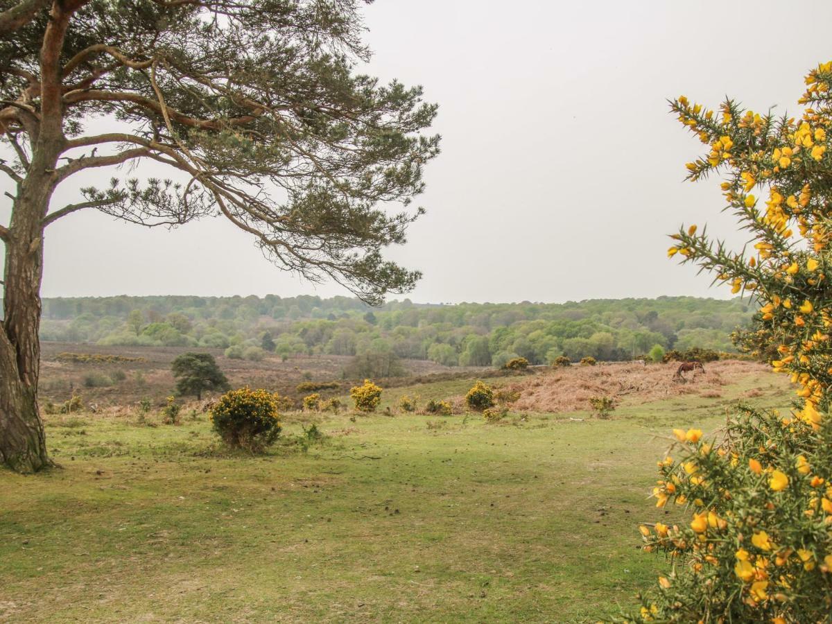 Orchard Annexe Villa Lymington Kültér fotó